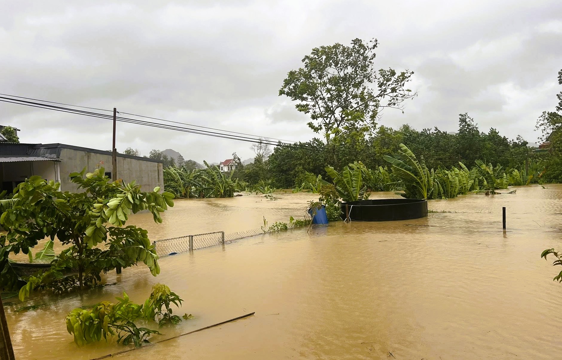 Nhà sập, nhiều nơi chìm trong "biển" nước khi bão số 10 Bualoi đổ bộ- Ảnh 14.