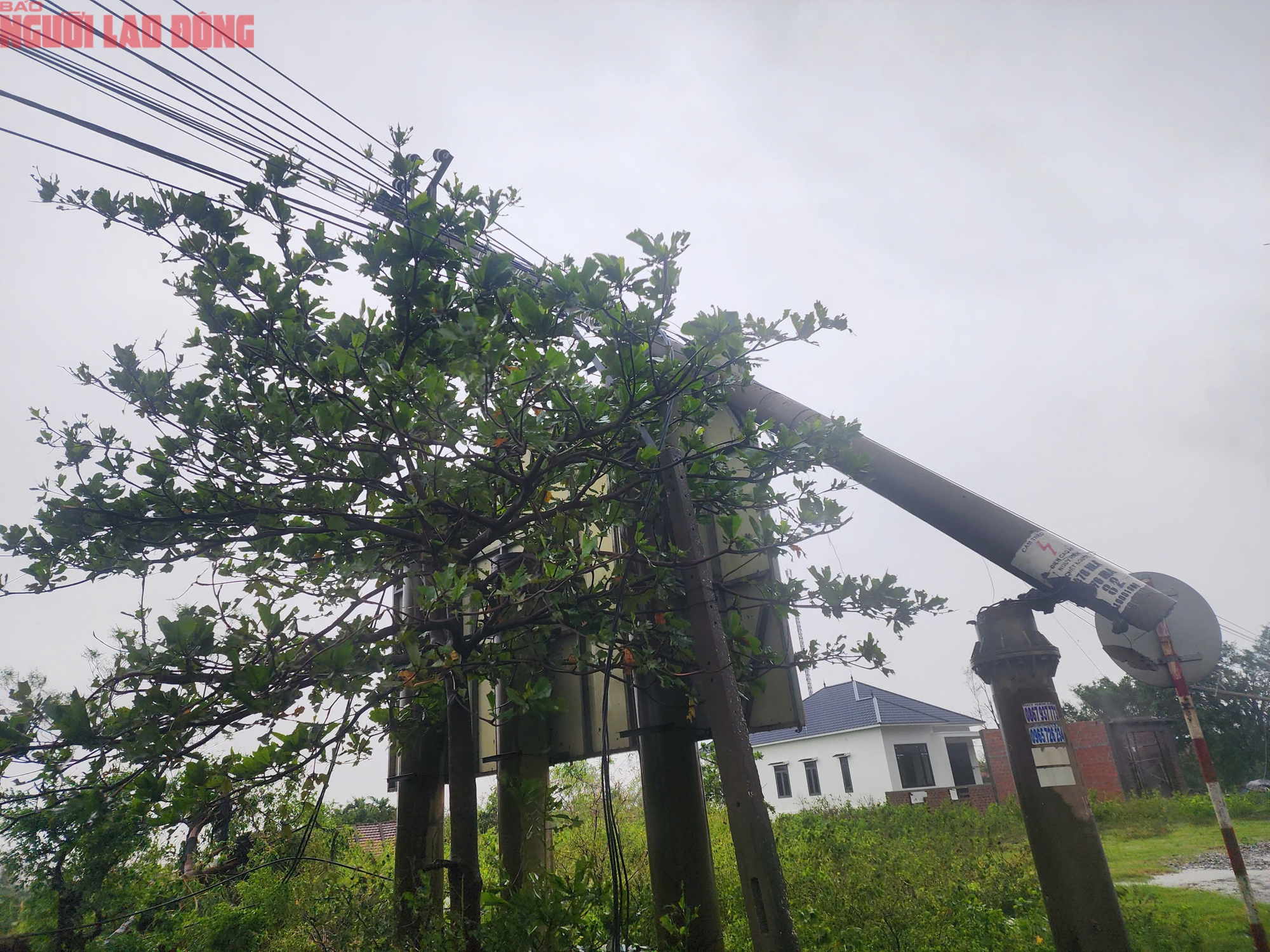 Quảng Trị sau bão số 10: Thiệt hại nặng nề tại xã Phú Trạch sau cơn bão - Ảnh 2.