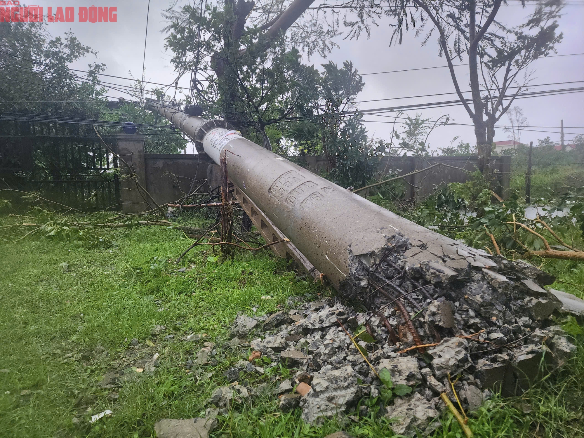 Quảng Trị sau bão số 10: Thiệt hại nặng nề tại xã Phú Trạch sau cơn bão - Ảnh 12.