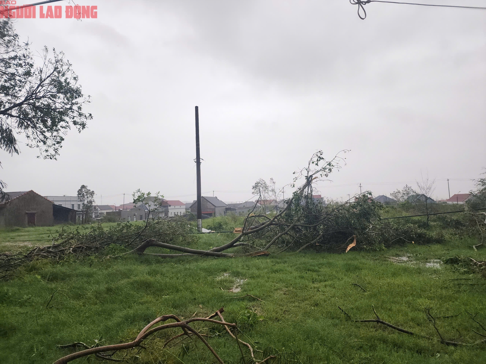 Quảng Trị sau bão số 10: Thiệt hại nặng nề tại xã Phú Trạch sau cơn bão - Ảnh 14.