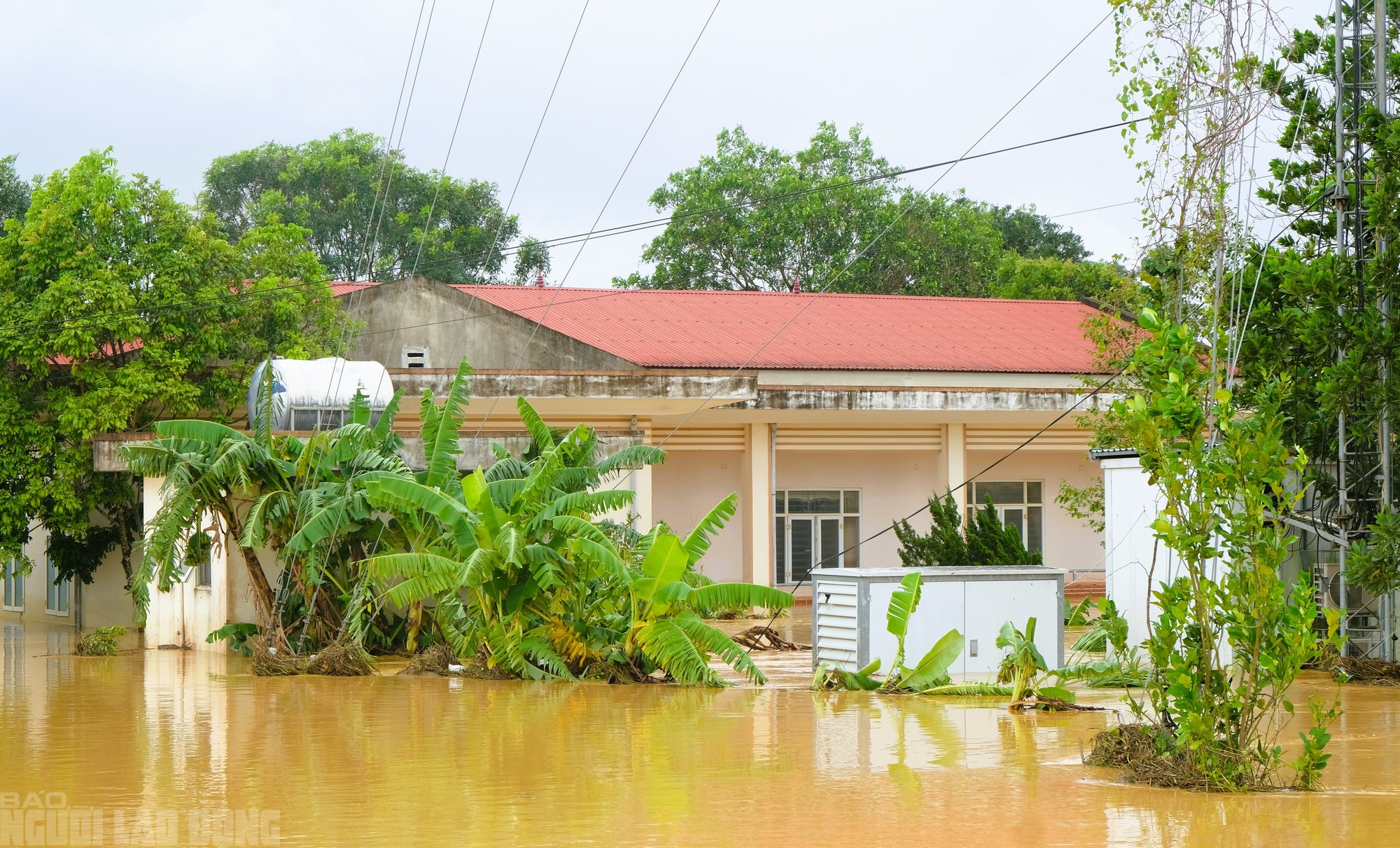Một xã ở Thanh Hóa có hơn 3.000 ngôi nhà chìm trong biển nước- Ảnh 17.