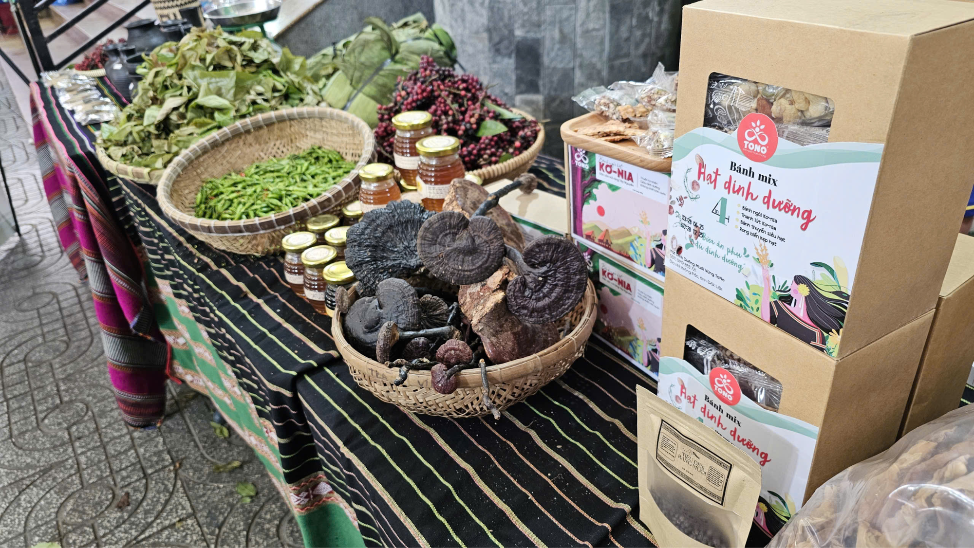 Tropenbos Việt Nam kết nối sinh kế bền vững gắn với bảo tồn rừng- Ảnh 3.