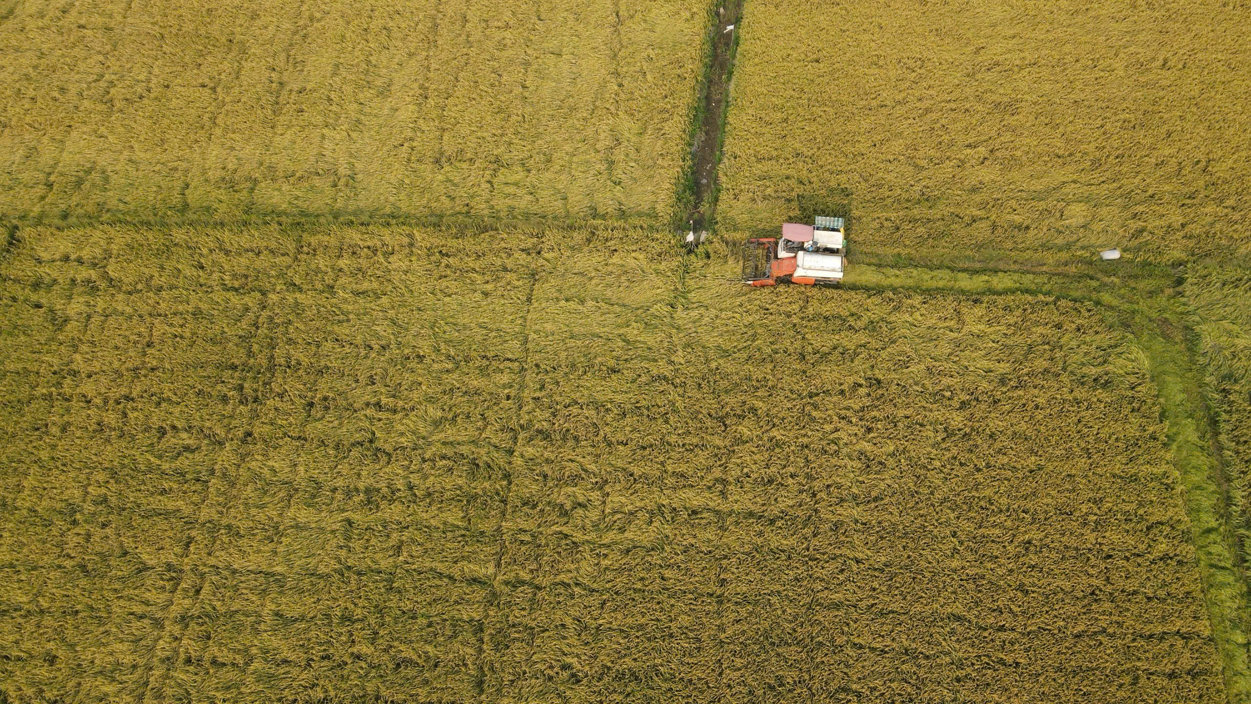Đột phá khoa học công nghệ trong dự thảo Đại hội XIV của Đảng - Ảnh 1. Đột phá khoa học công nghệ trong dự thảo Đại hội XIV của Đảng - Ảnh 1.