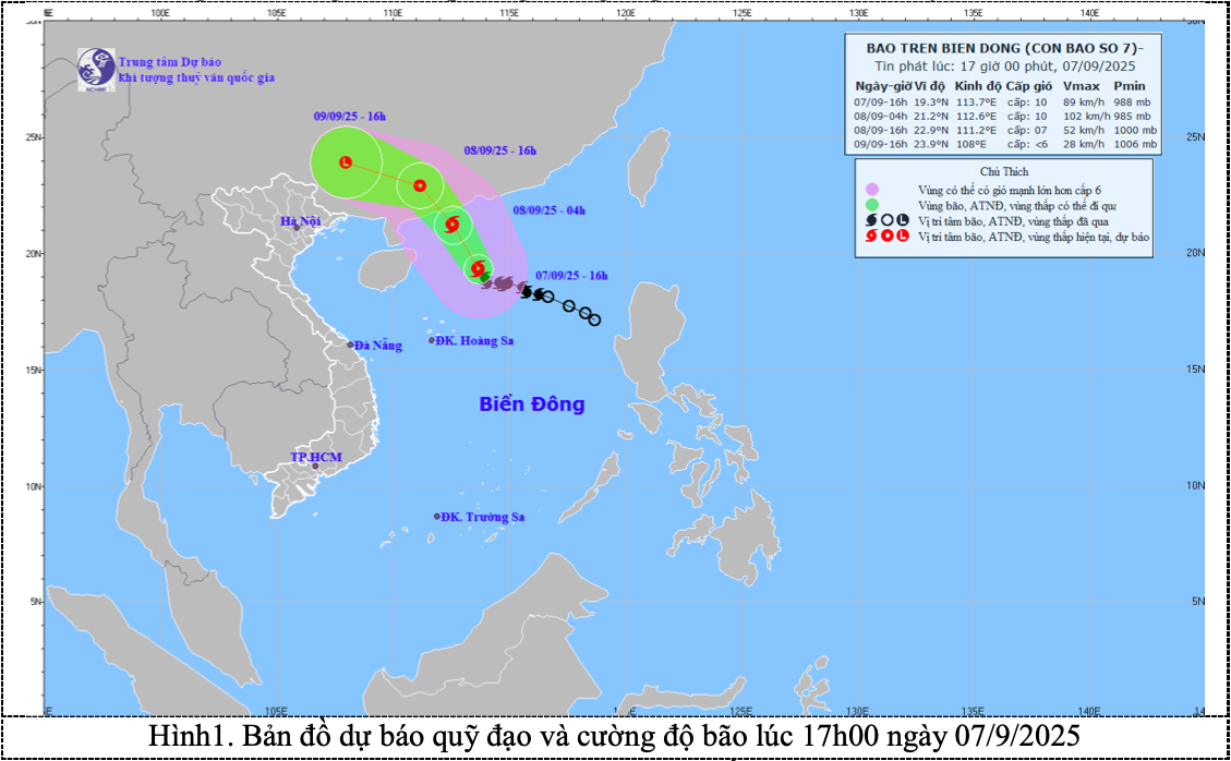 TP HCM mưa tối trời từ trưa đến chiều - Ảnh 3.