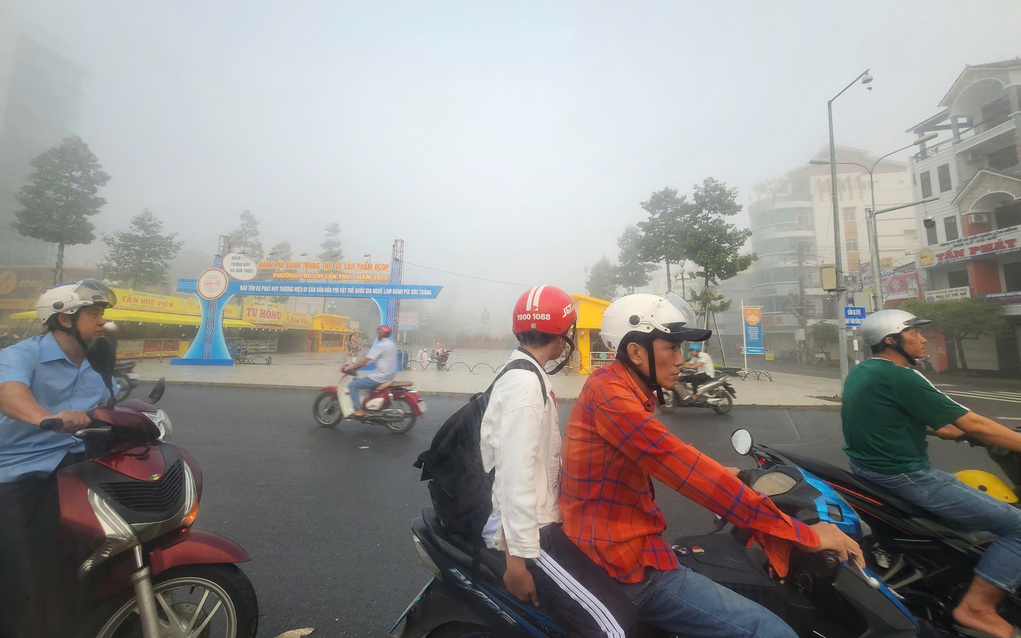 - Ảnh 2. - Ảnh 2.