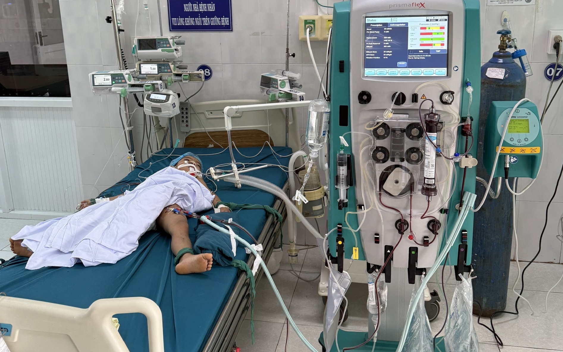 Ba em nhỏ bị ong tấn công, một bé tử vong thương tâm- Ảnh 1. Ba em nhỏ bị ong tấn công, một bé tử vong thương tâm- Ảnh 1.