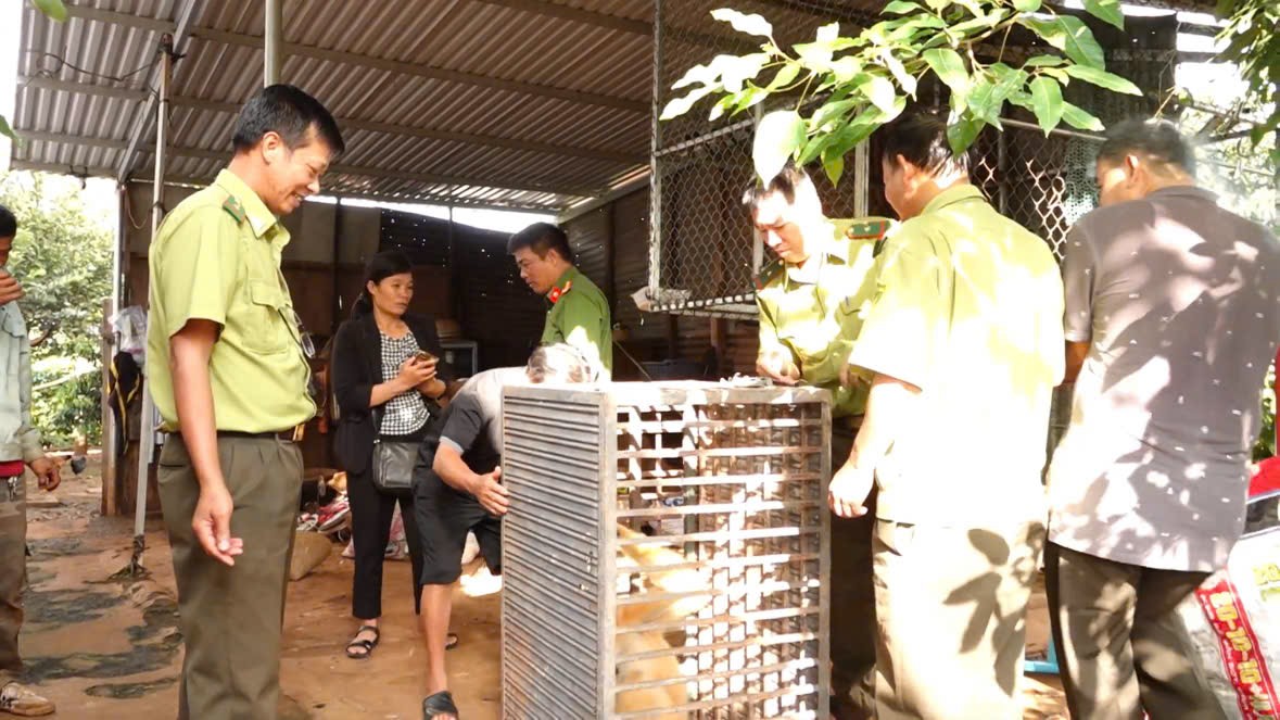 Bắt được động vật "lạ", lên mạng tra cứu thì tá hỏa giao nộp cho công an- Ảnh 1. Bắt được động vật "lạ", lên mạng tra cứu thì tá hỏa giao nộp cho công an- Ảnh 1.