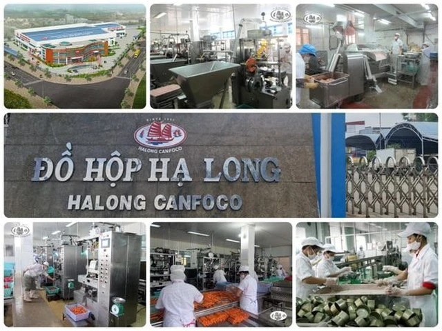 Bắt Tổng Gi&aacute;m đốc C&ocirc;ng ty CP đồ hộp Hạ Long v&igrave; thịt heo nhiễm dịch tả - Ảnh 1.