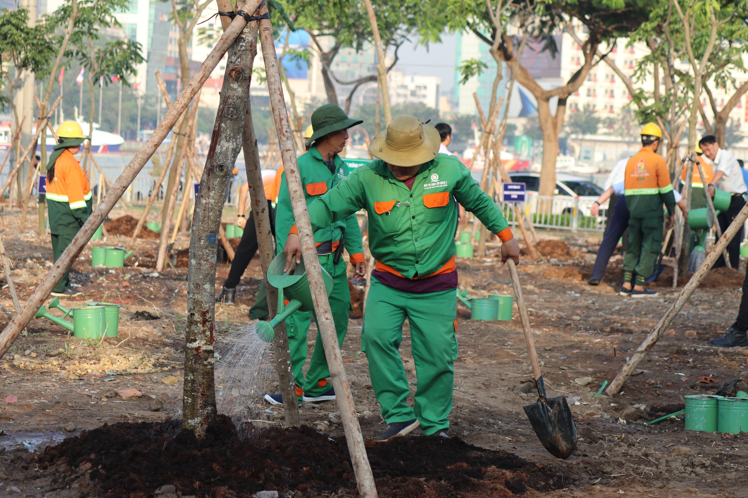 - Ảnh 12. - Ảnh 12.