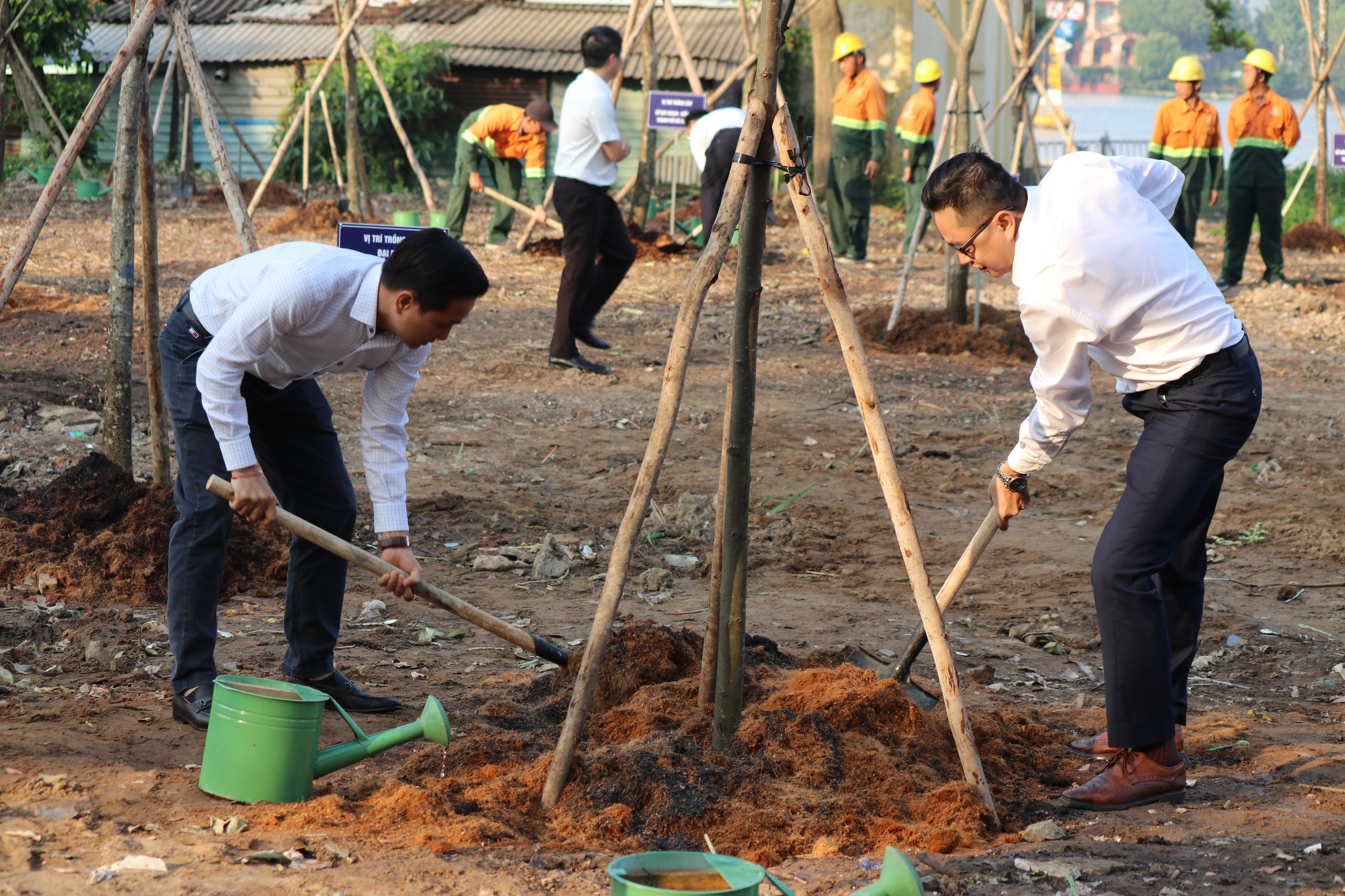 - Ảnh 10. - Ảnh 10.