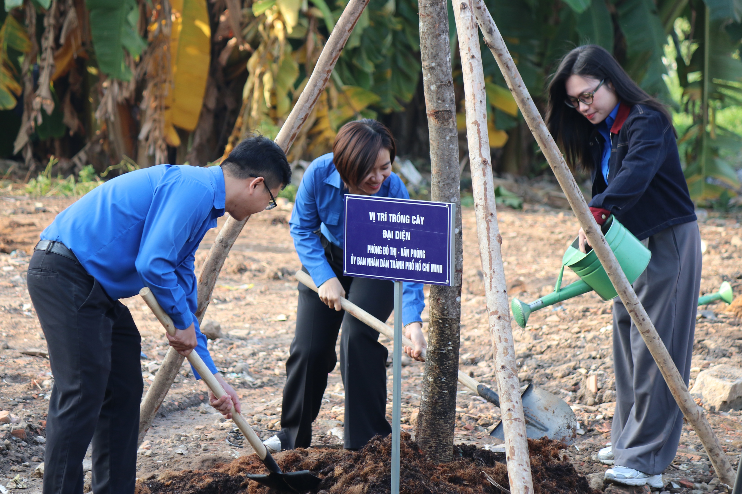 - Ảnh 13. - Ảnh 13.