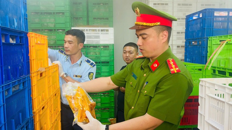 Tang vật thu giữ khoảng 20 tấn thịt gà đông lạnh