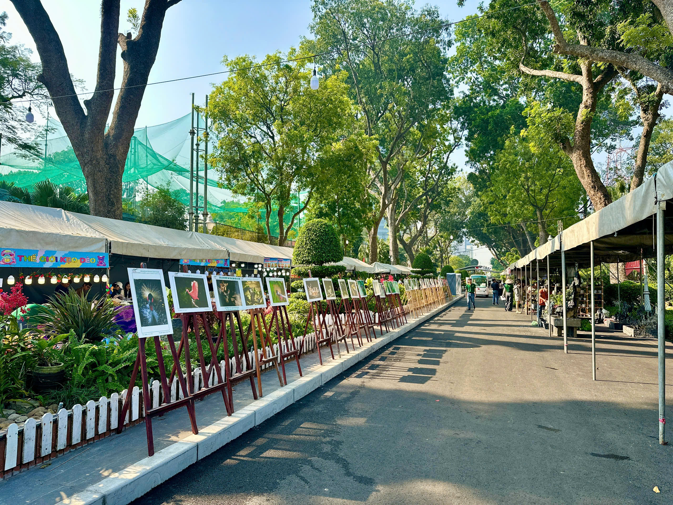 “Nghe lá hoa kể chuyện” tại Thảo Cầm Viên  - Ảnh 1.