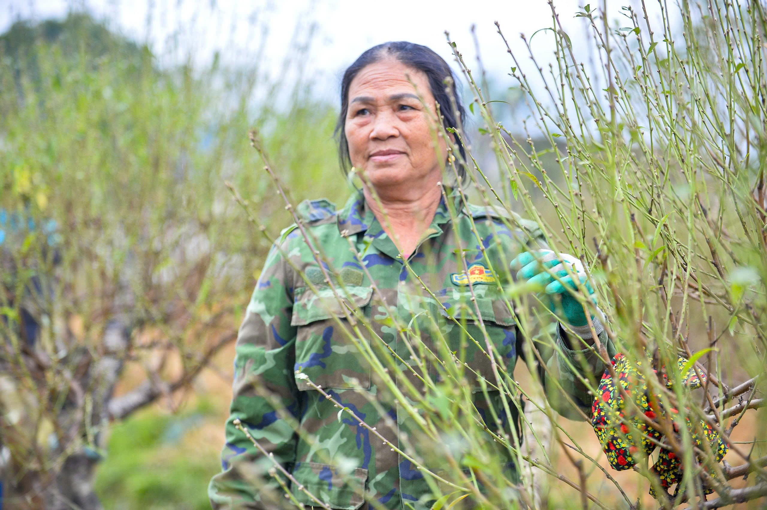 Cả làng rủ nhau ra đồng tuốt lá loài cây nở hoa vào những ngày Tết - Ảnh 5.