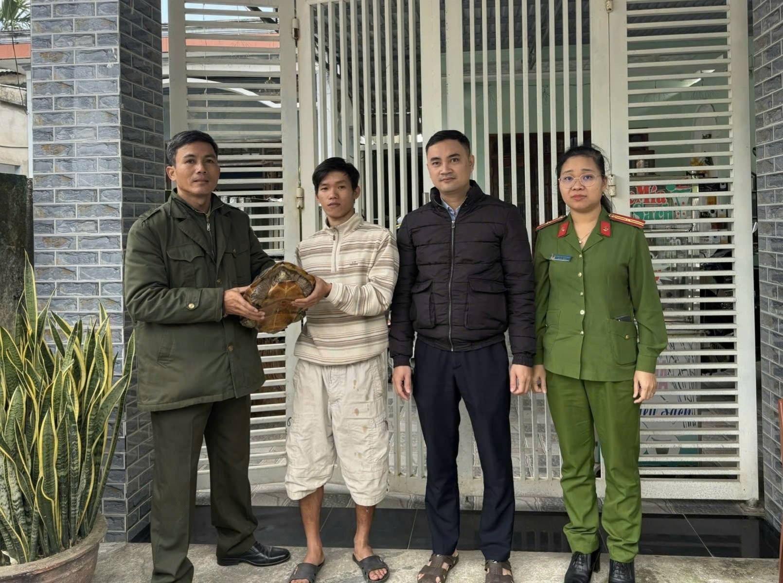 Người dân Đà Nẵng giao nộp rùa qúy hiếm nặng 6 , 8 kg cho cơ quan chức năng - Ảnh 1.