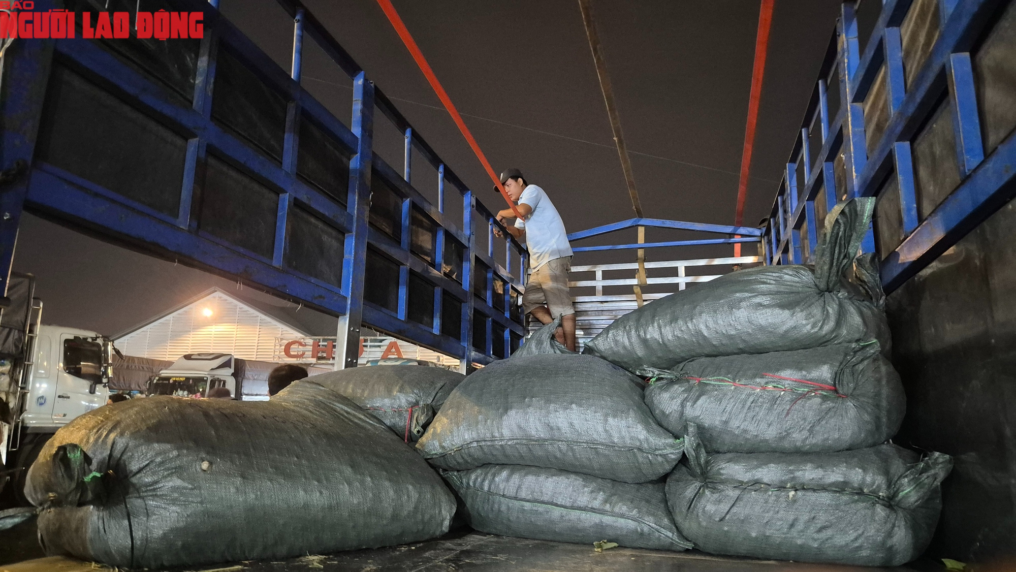 Cận cảnh khu chợ kiệu Tết lớn nhất TPHCM - Ảnh 2.