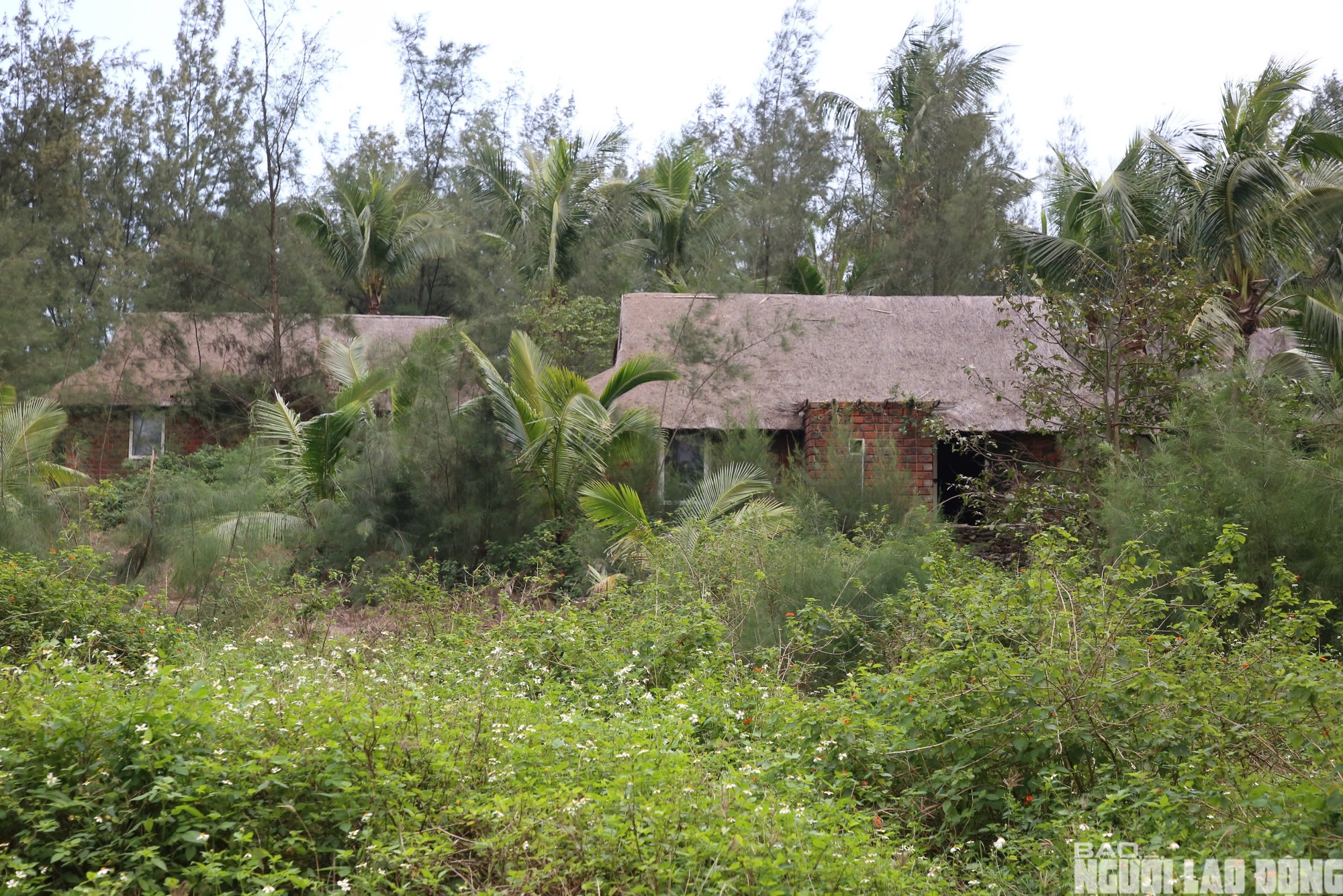 Hai kh&aacute;ch sạn bỏ hoang tại Đồng Hới g&acirc;y lo ngại về đầu tư Du lịch - Ảnh 5.