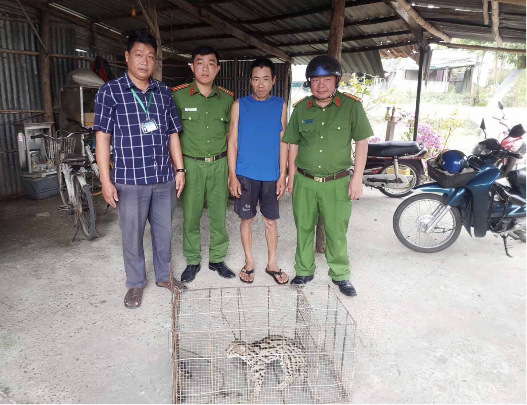 Cần Thơ phát hiện mèo cá qúy hiếm Sau khi Đặt bẫy gà mất - Ảnh 1. Cần Thơ phát hiện mèo cá qúy hiếm Sau khi Đặt bẫy gà mất - Ảnh 1.