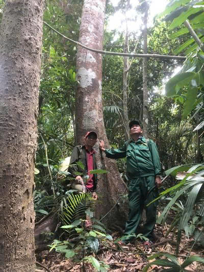 Từ giàu tài nguyên đến kinh tế xanh: Chiến lược phát triển bền vững cho Việt Nam - Ảnh 2. Từ giàu tài nguyên đến kinh tế xanh: Chiến lược phát triển bền vững cho Việt Nam - Ảnh 2.