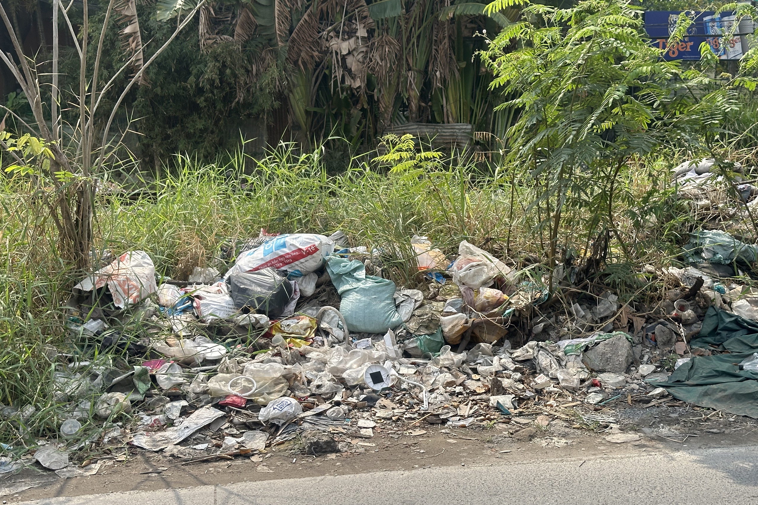 C&aacute;c b&atilde;i r&aacute;c lộ thi&ecirc;n xấu x&iacute; giữa l&ograve;ng th&agrave;nh phố - Ảnh 1.