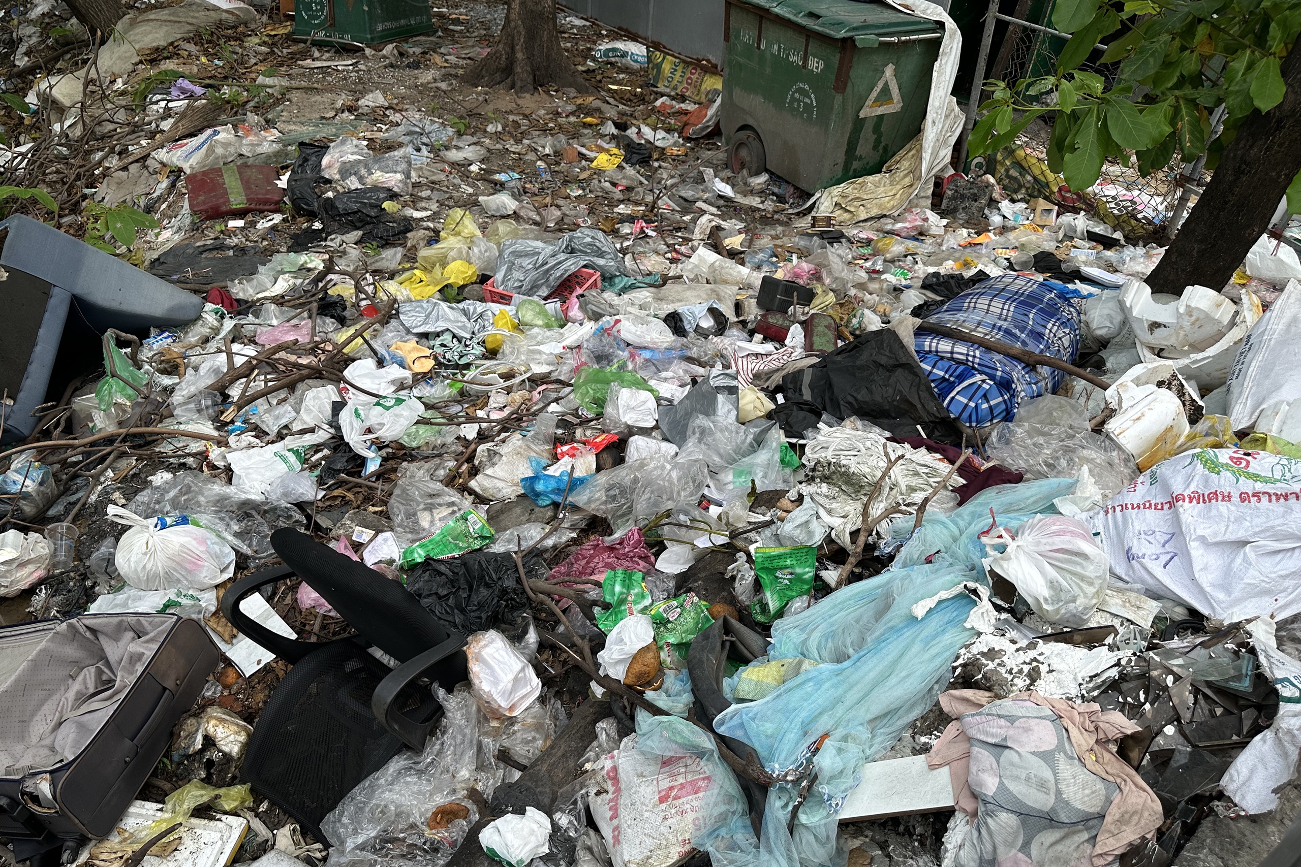 C&aacute;c b&atilde;i r&aacute;c lộ thi&ecirc;n xấu x&iacute; giữa l&ograve;ng th&agrave;nh phố - Ảnh 10.