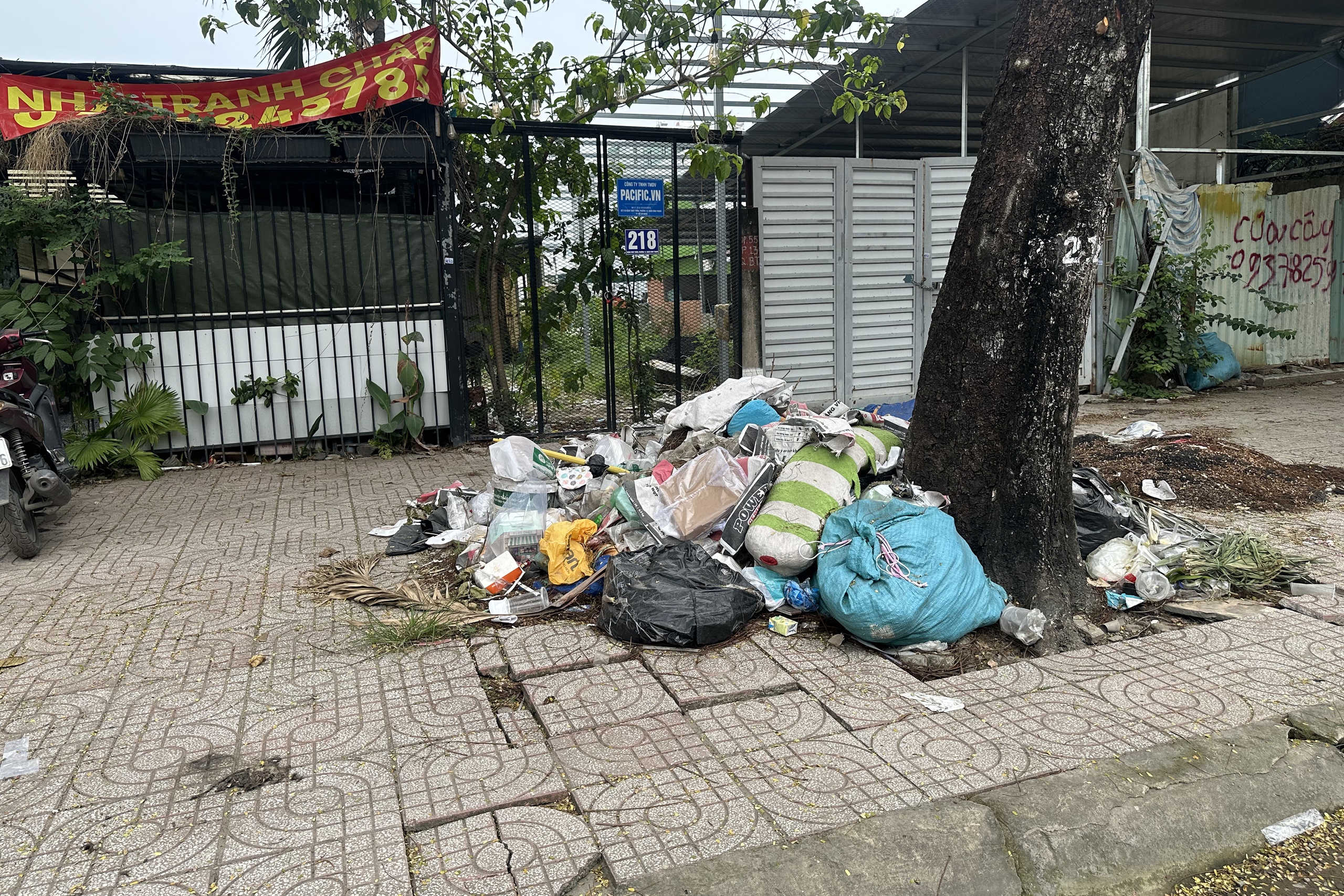 C&aacute;c b&atilde;i r&aacute;c lộ thi&ecirc;n xấu x&iacute; giữa l&ograve;ng th&agrave;nh phố - Ảnh 5.