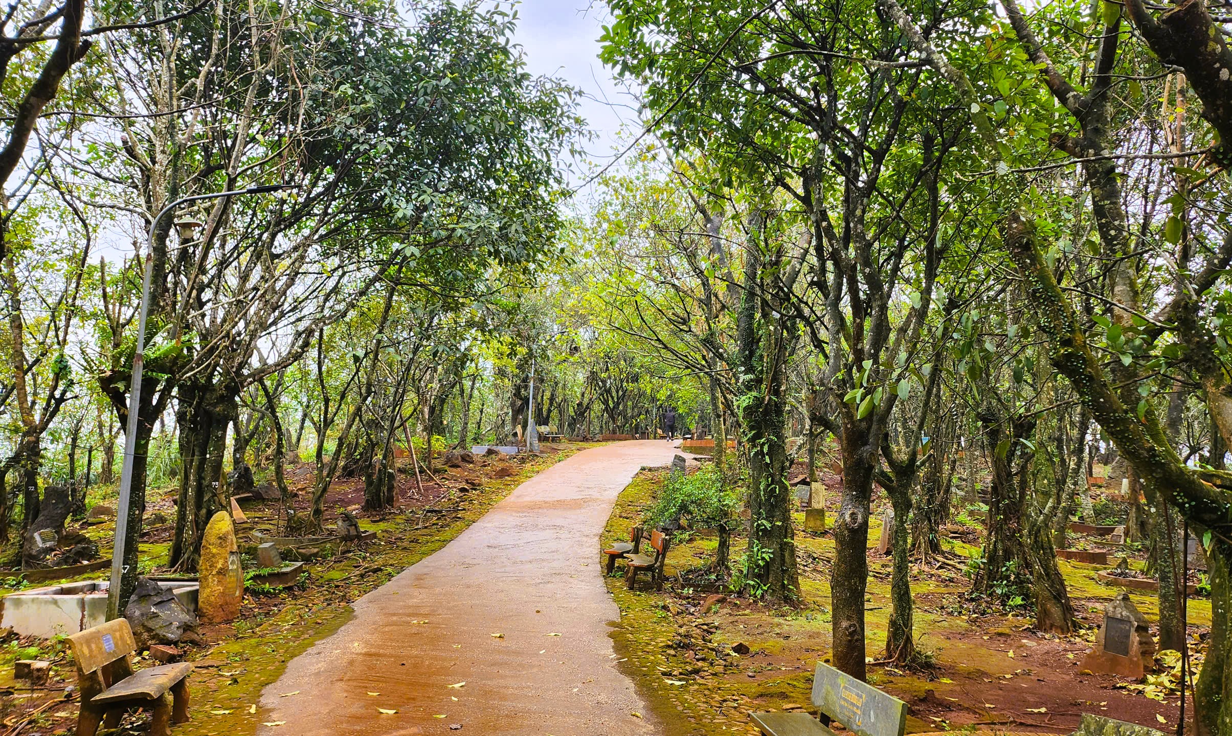 Huyệt đạo thi&ecirc;ng tr&ecirc;n n&uacute;i Nưa trong diện mạo mới - Ảnh 7.