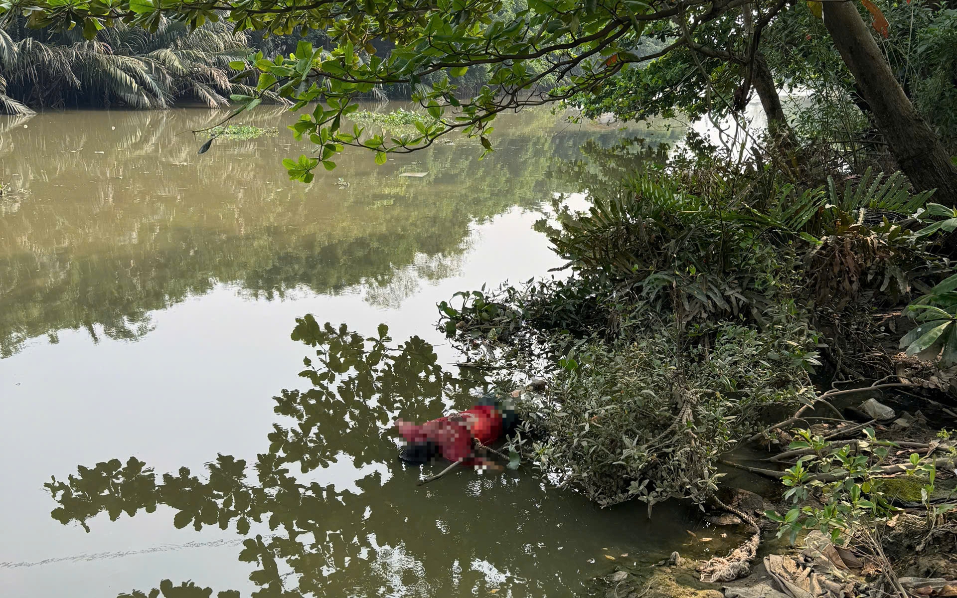 Diễn biến mới vụ thi thể người nước ng&ograve;ai tr&ecirc;n cao tốc Trung Lương - Mỹ Thuận - Ảnh 2.