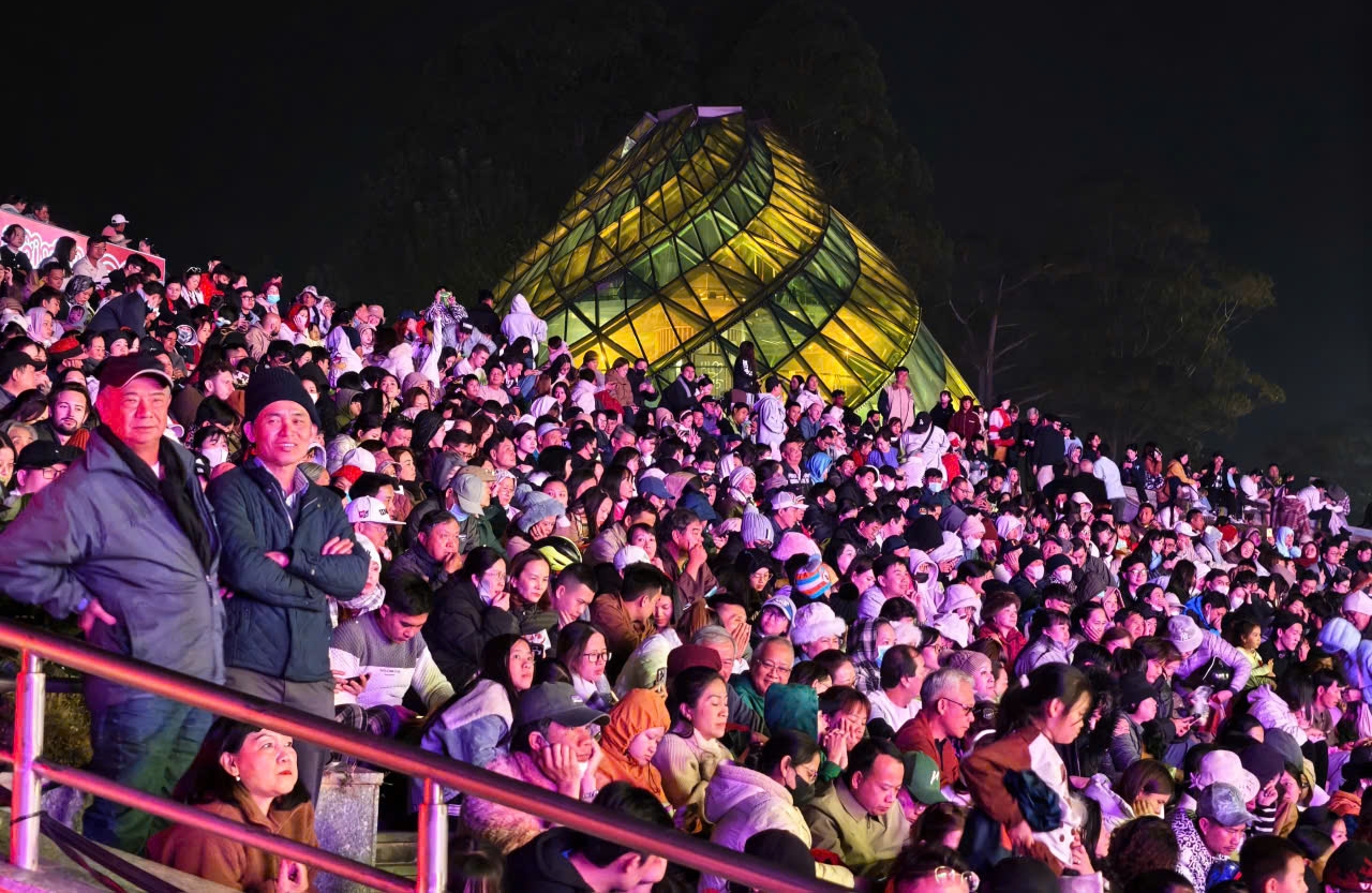 Đ&agrave; Lạt rộn r&agrave;ng khai hội mai anh đ&agrave;o - Ảnh 4.