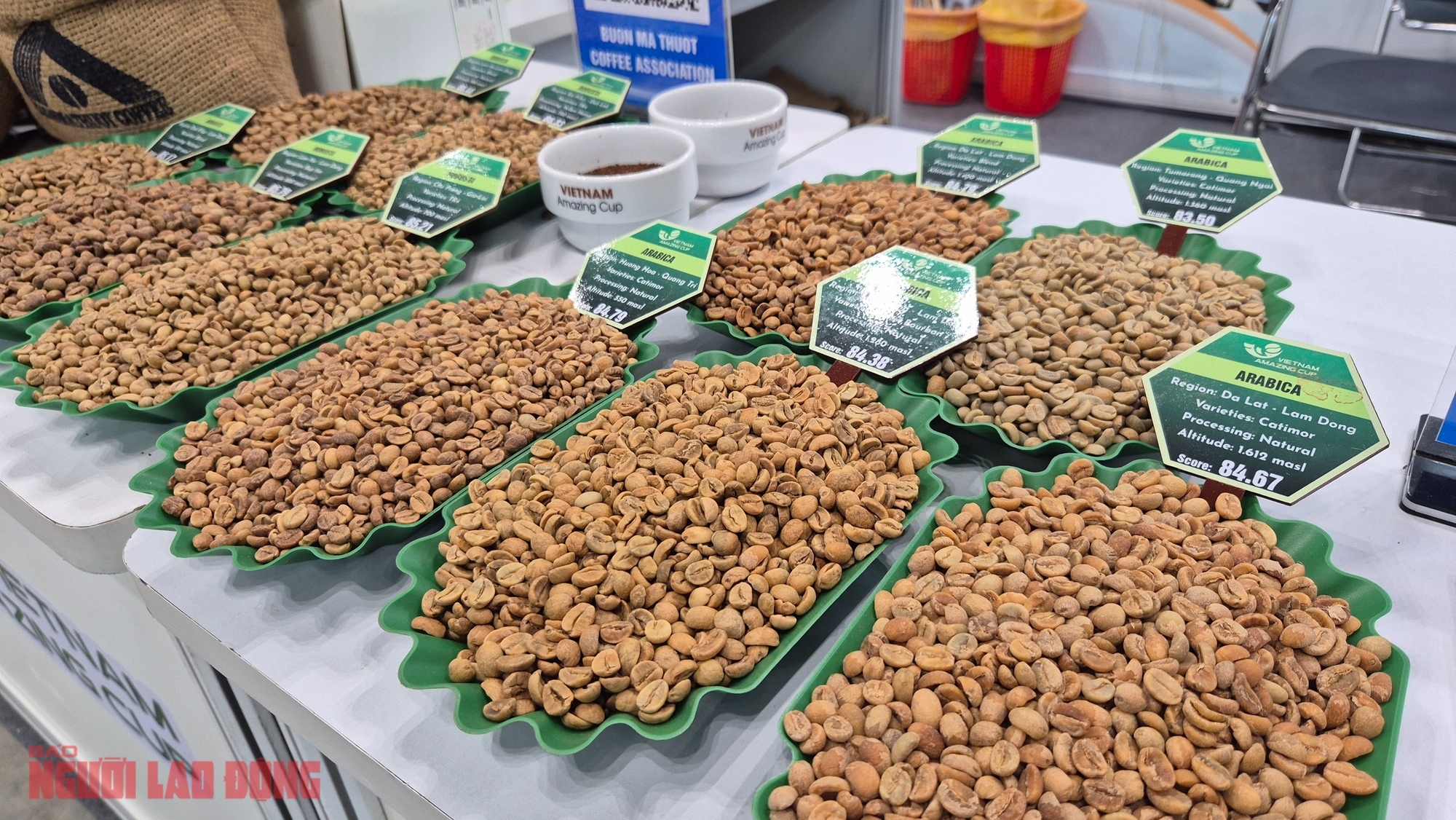 Giá cà phê hôm nay 18 - 1: Bầu Đức nói về thị trường cà phê hiện tại - Ảnh 3.