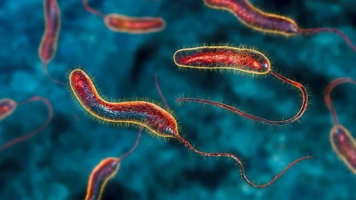 Phát hiện một chất tự nhiên có thể làm teo khối u ung thư - Ảnh 1.