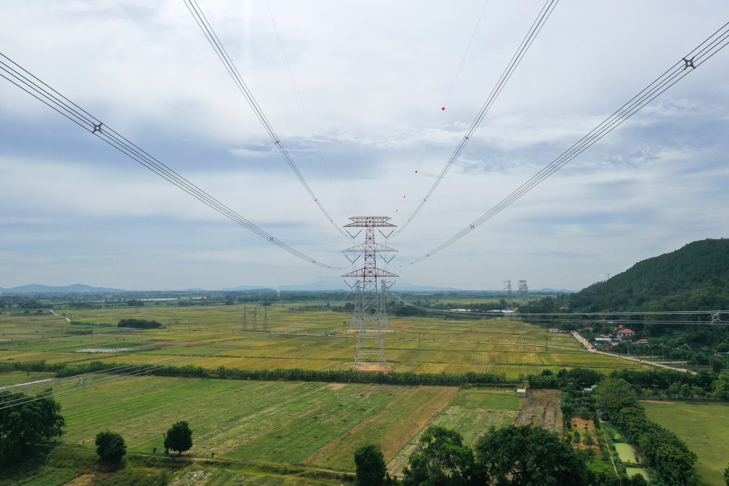 Kinh tế nhà nước và mệnh lệnh đổi mới - Ảnh 1.