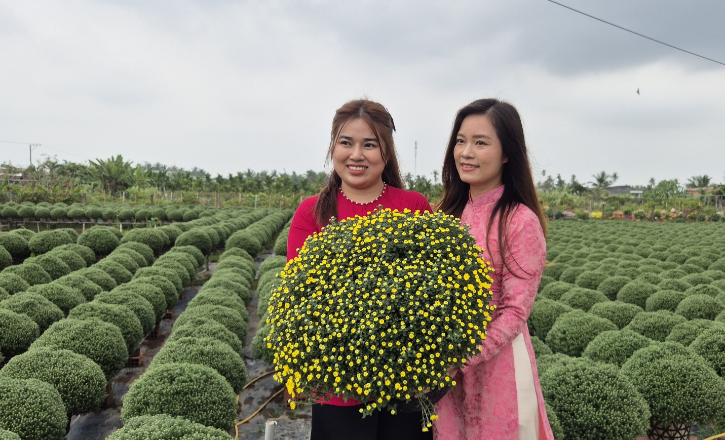TikTok Shop: Cơ hội bứt phá cho nông sản Việt trong mùa Tết - Ảnh 1.