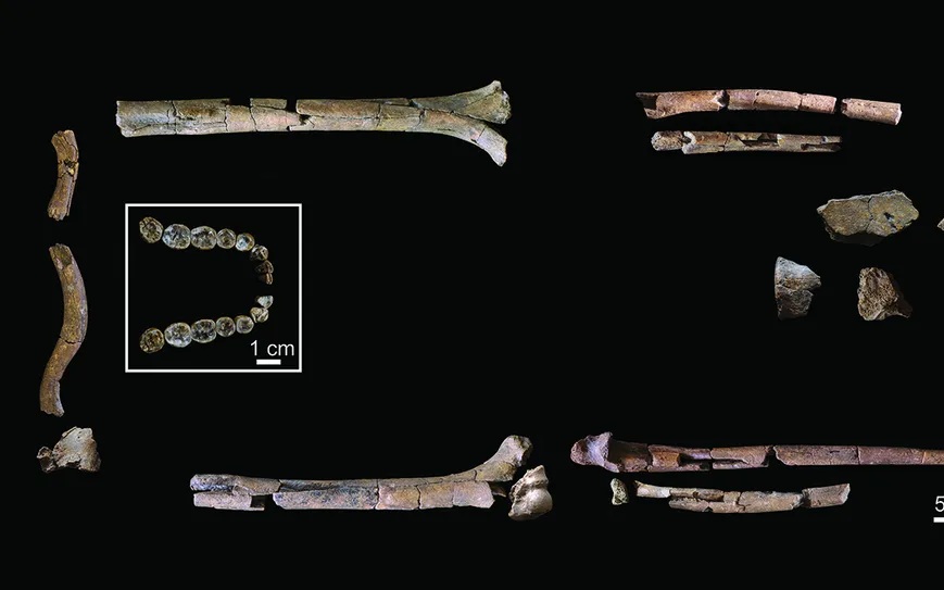 H&agrave;i cốt 5.500 tuổi tiết lộ nguồn gốc căn bệnh t&igrave;nh dục "&aacute;m ảnh" - Ảnh 2.