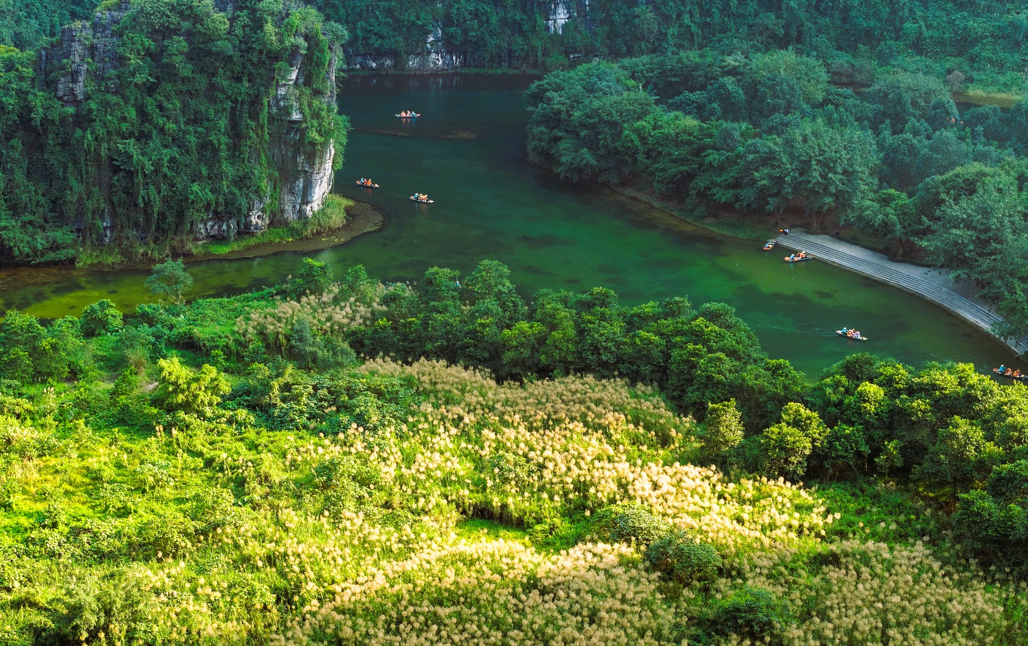 Tr&agrave;ng An say đắm l&ograve;ng người m&ugrave;a lau sậy trổ b&ocirc;ng - Ảnh 14.