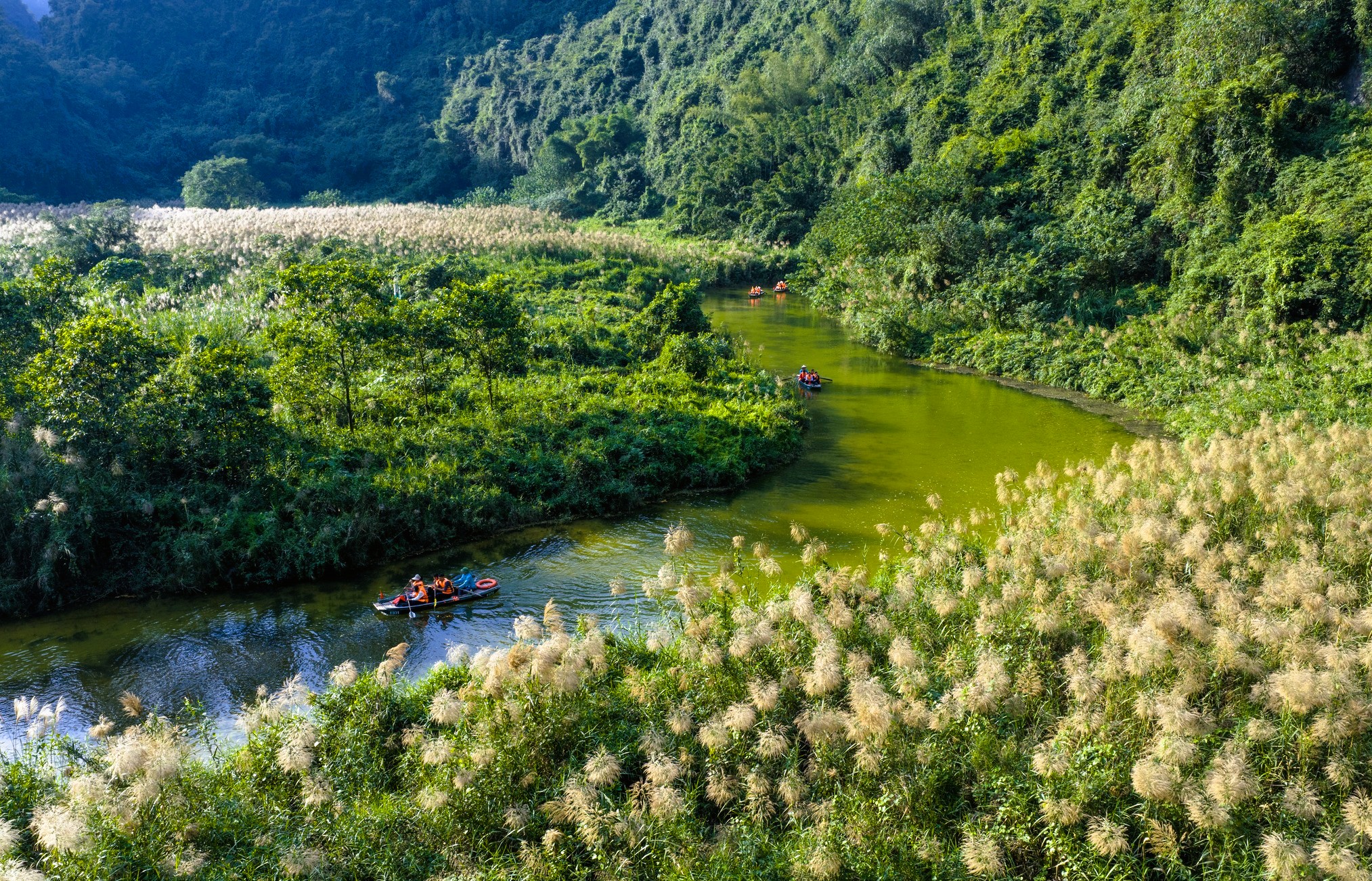 Tr&agrave;ng An say đắm l&ograve;ng người m&ugrave;a lau sậy trổ b&ocirc;ng - Ảnh 6.