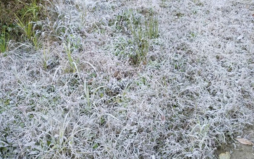 Băng giá Cao Bằng xuất hiện trên đỉnh Phja Oắc giữa mùa đông lạnh giá - Ảnh 2.