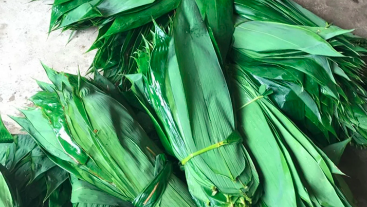 - Ảnh 1. - Ảnh 1.