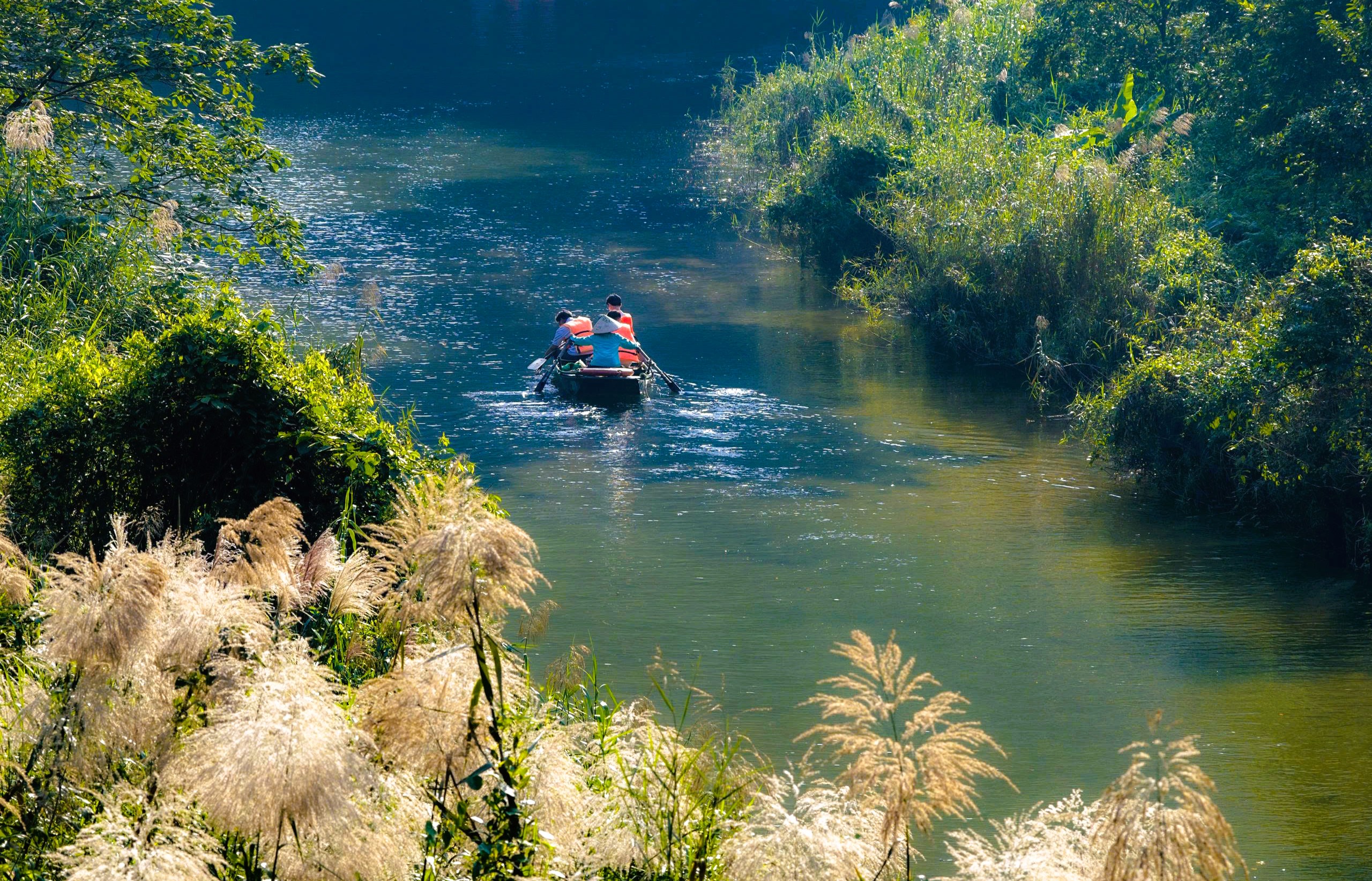 Tr&agrave;ng An say đắm l&ograve;ng người m&ugrave;a lau sậy trổ b&ocirc;ng - Ảnh 7.