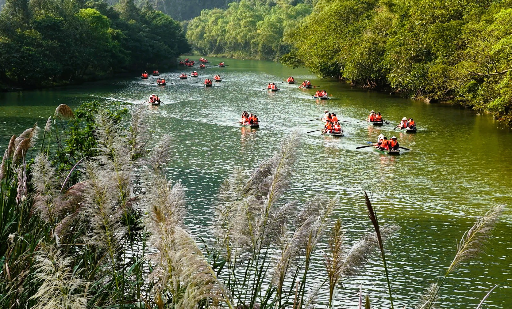 Tr&agrave;ng An say đắm l&ograve;ng người m&ugrave;a lau sậy trổ b&ocirc;ng - Ảnh 10.