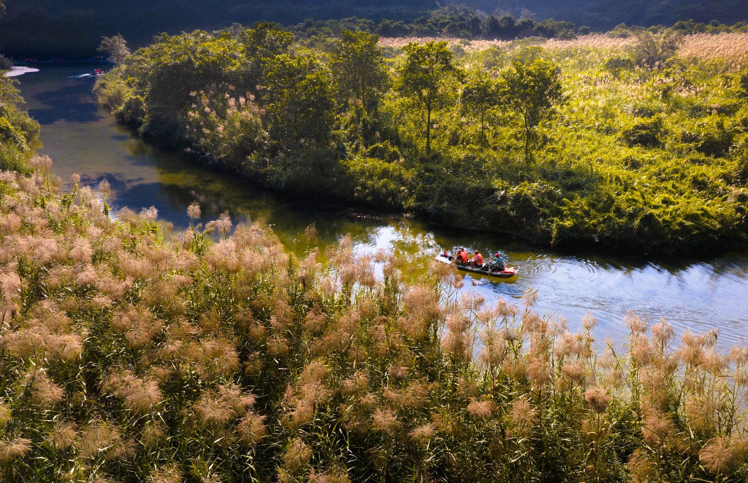 Tr&agrave;ng An say đắm l&ograve;ng người m&ugrave;a lau sậy trổ b&ocirc;ng - Ảnh 1.