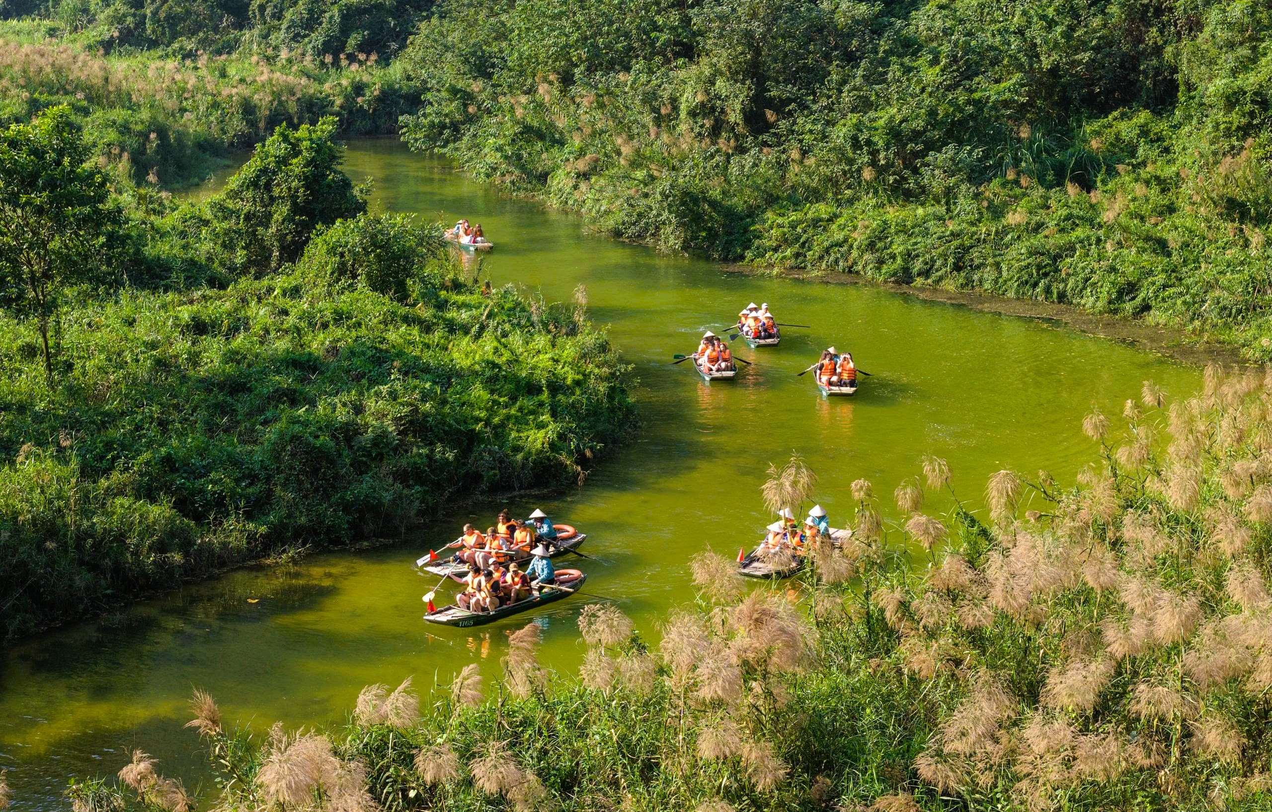 Tr&agrave;ng An say đắm l&ograve;ng người m&ugrave;a lau sậy trổ b&ocirc;ng - Ảnh 8.