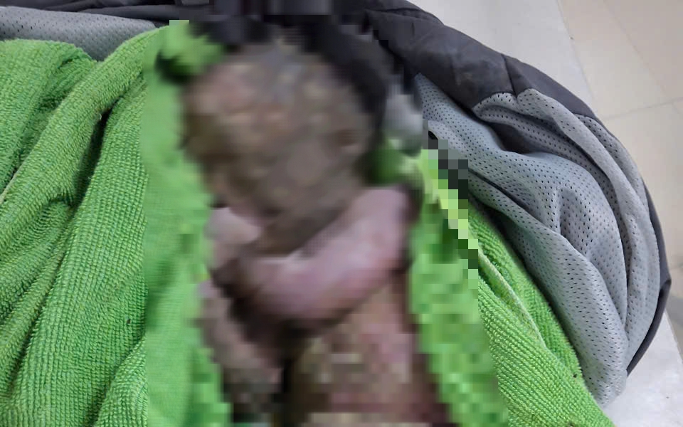 Đ&atilde; X&aacute;c định được mẹ bỏ rơi con sơ sinh tại rẫy vắng ở Đắk Lắk - Ảnh 2.