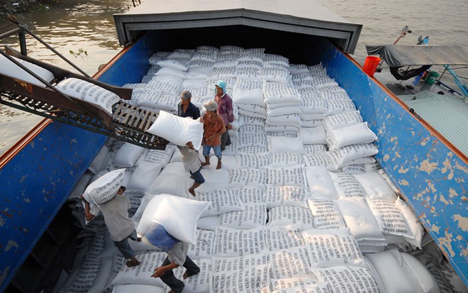 - Ảnh 2. - Ảnh 2.