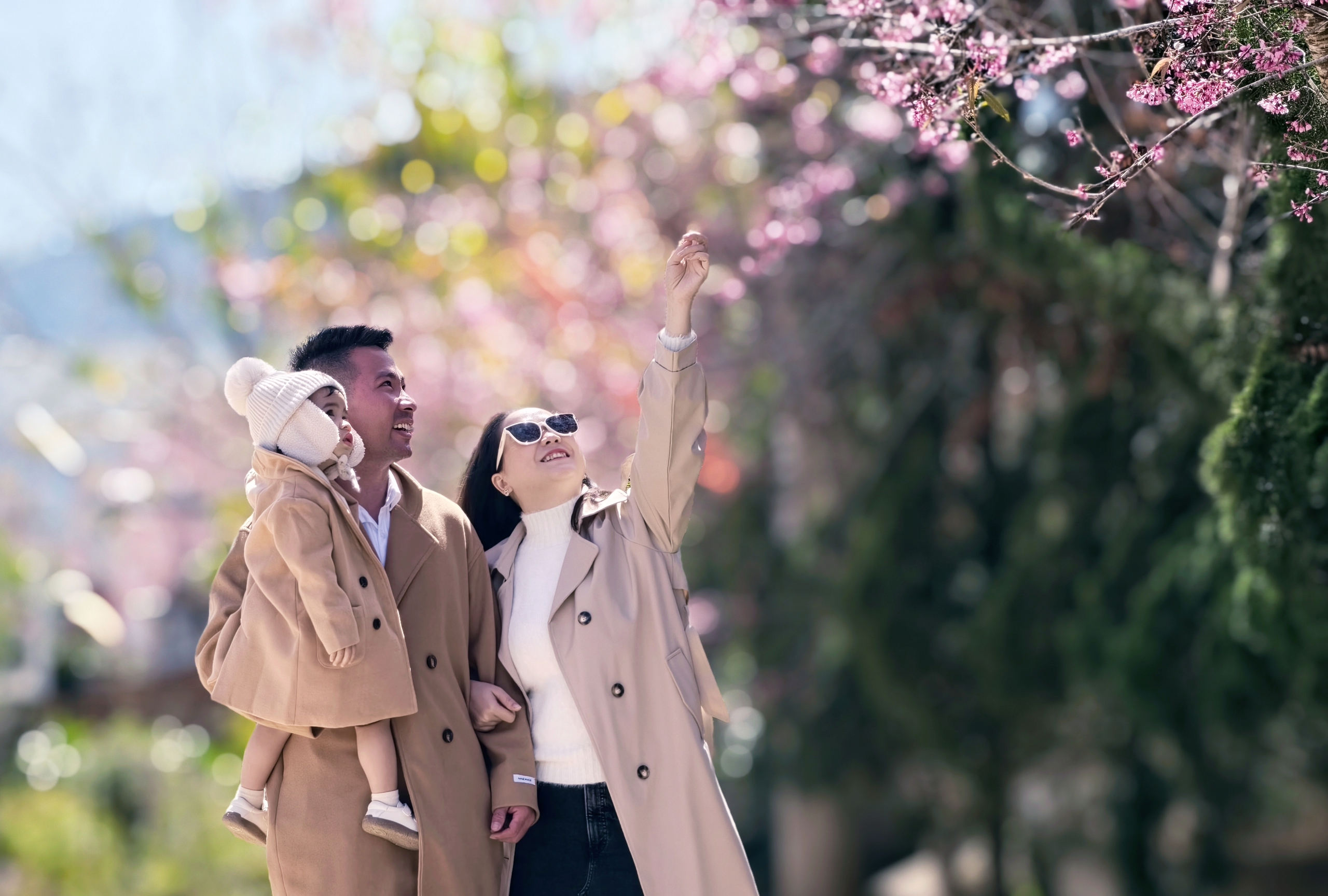 X&oacute;m nhỏ đẹp như tranh khi mai anh đ&agrave;o nở tr&ecirc;n cung đường nối Đ&agrave; Lạt - Nha Trang - Ảnh 15.