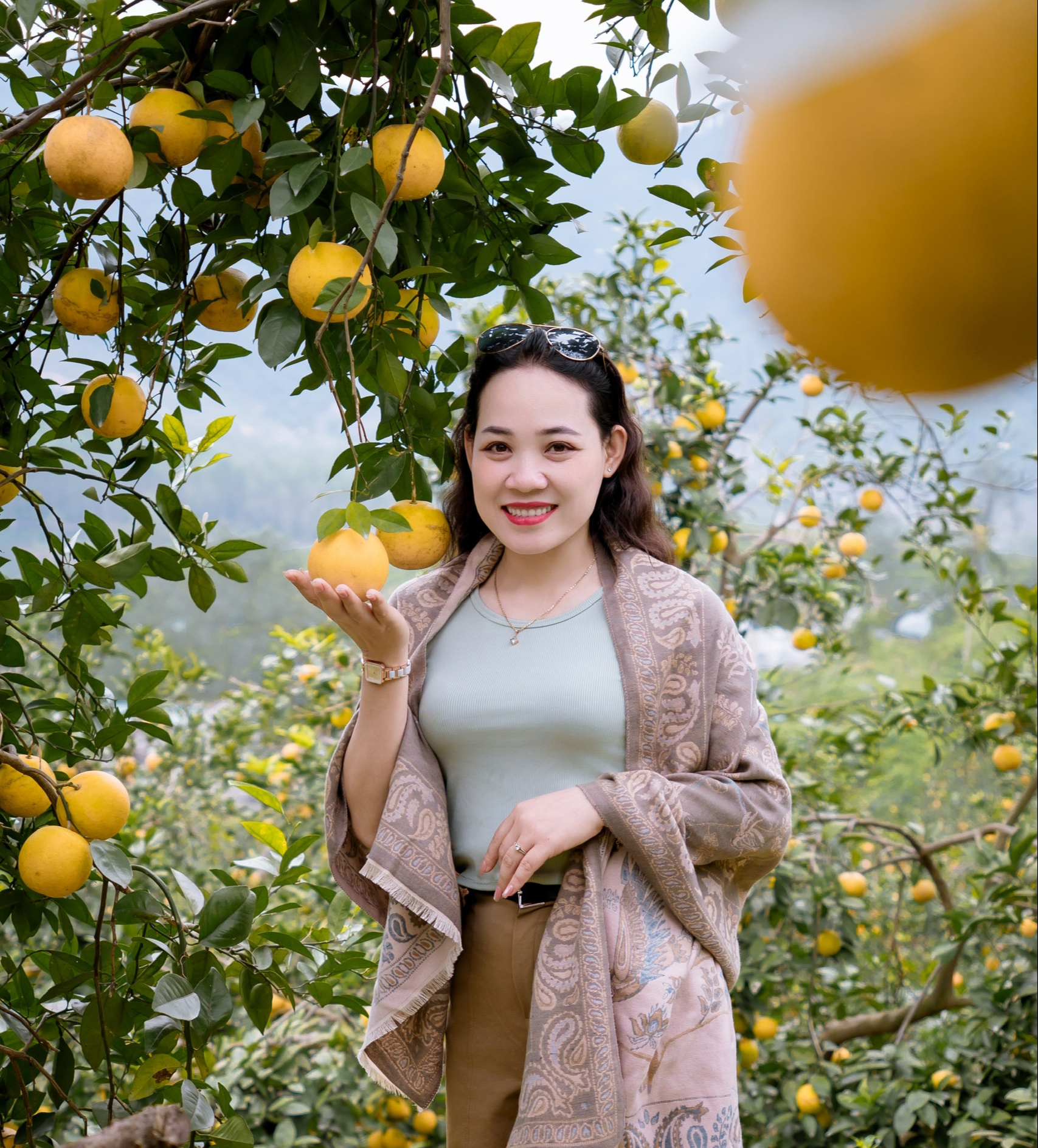 “Lạc lối” giữa những vườn cam chín vàng, sai trĩu quả - Ảnh 2.