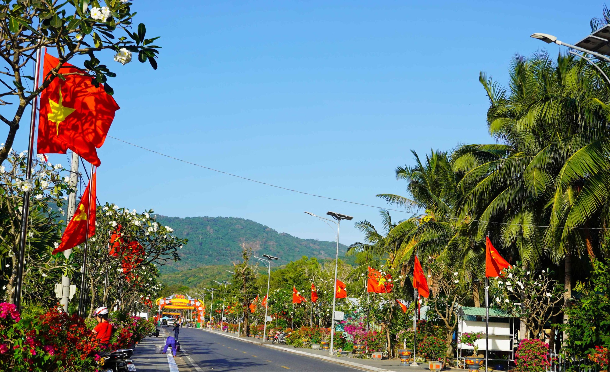 Du khách, người dân xúc động trước "Đường cờ Tổ quốc - Đường hoa Côn Đảo" - Ảnh 9.