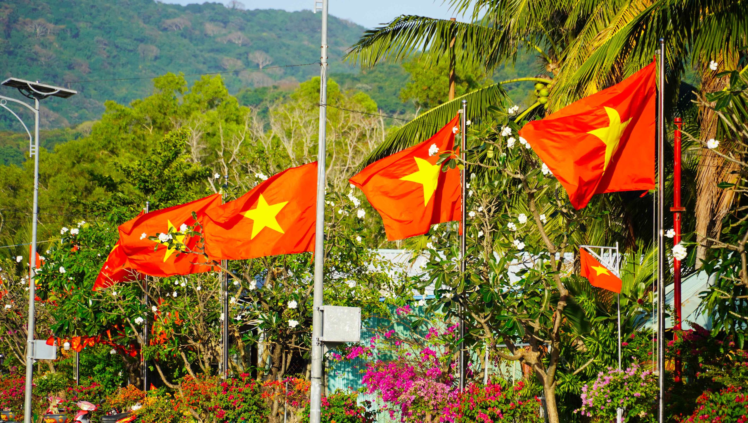 Du khách, người dân xúc động trước "Đường cờ Tổ quốc - Đường hoa Côn Đảo" - Ảnh 4.