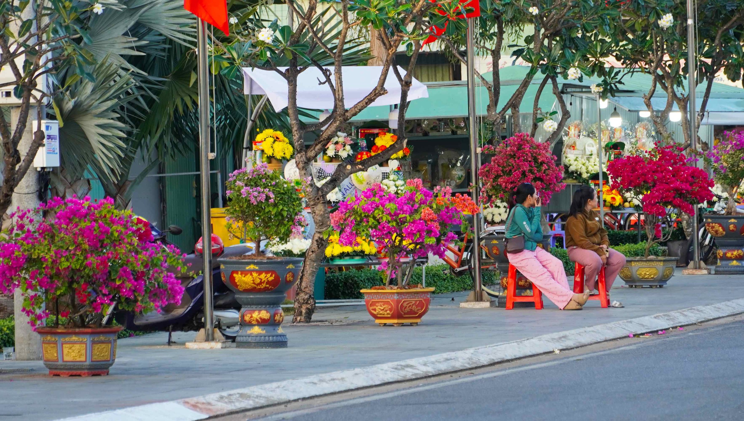 Du khách, người dân xúc động trước "Đường cờ Tổ quốc - Đường hoa Côn Đảo" - Ảnh 8.