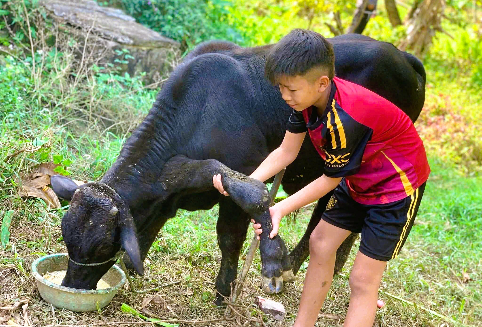 - Ảnh 1. - Ảnh 1.